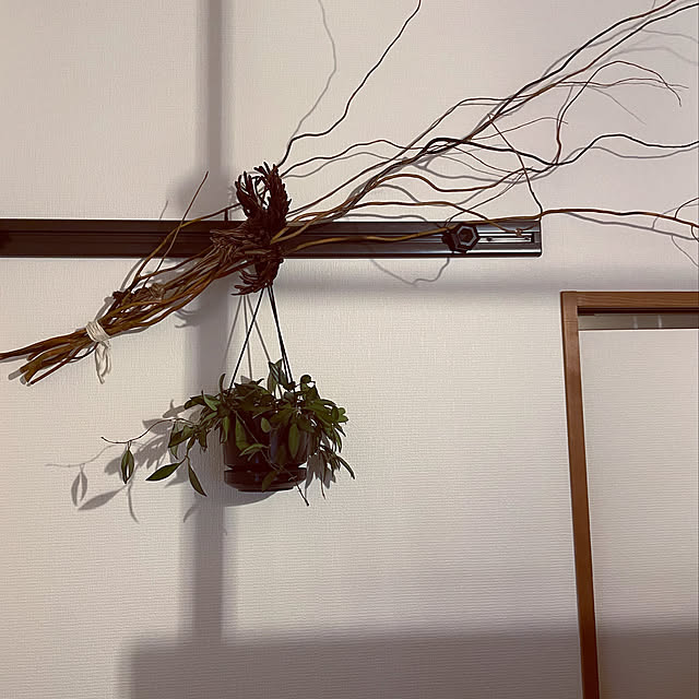 雑貨/カフェ風/観葉植物/北欧/フェイクグリーン...などのインテリア実例 - 2021-07-02 15:19:11