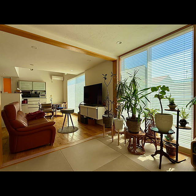 部屋全体/南面リビング/南面/南面窓/DAIKEN畳...などのインテリア実例 - 2025-05-10 04:01:24