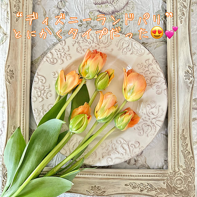 Re_さんの部屋
