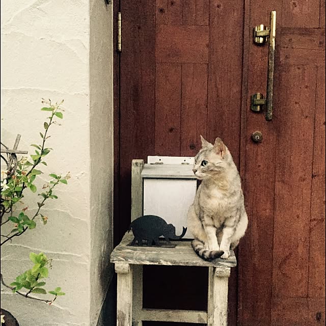 tentomushiさんの実例写真