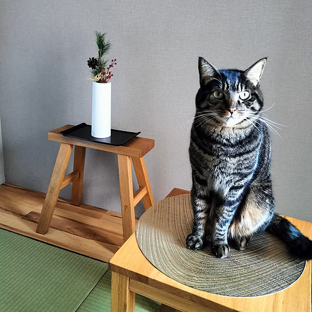hihaさんの実例写真