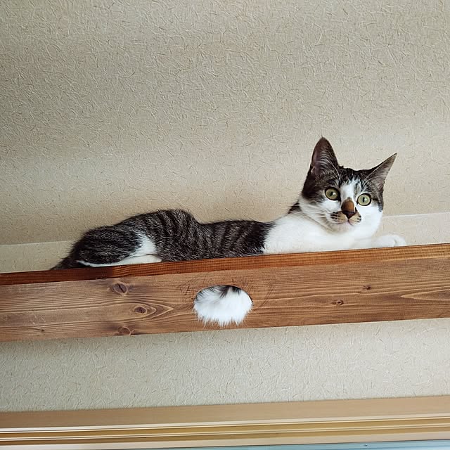 mikisunさんの実例写真