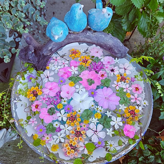 mocomocoさんの実例写真