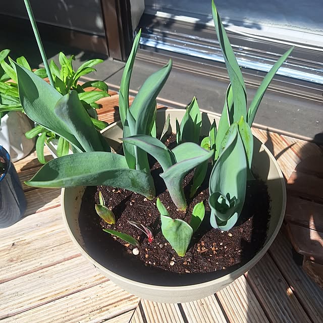 hakata-baさんの部屋