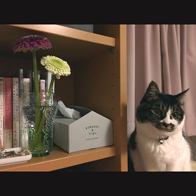 yuki___etoさんの実例写真