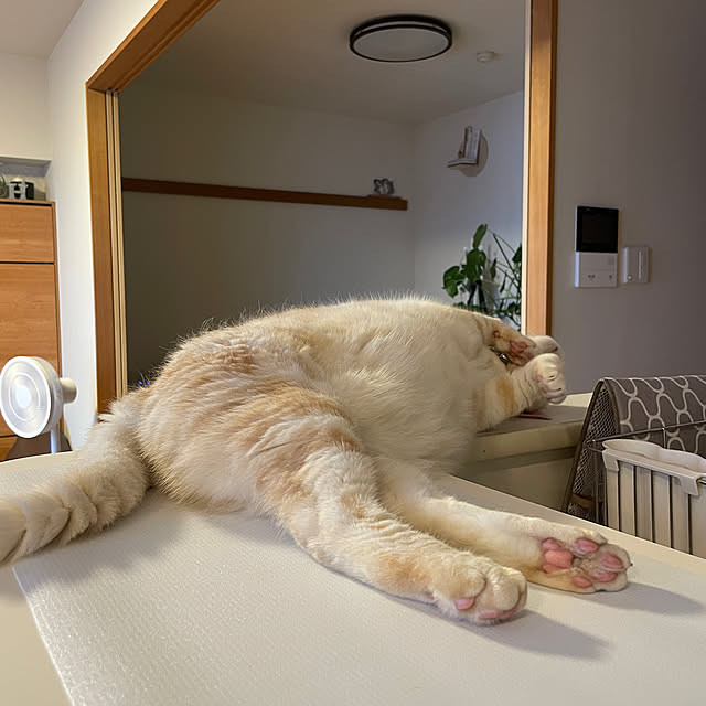 hiyupan88さんの実例写真