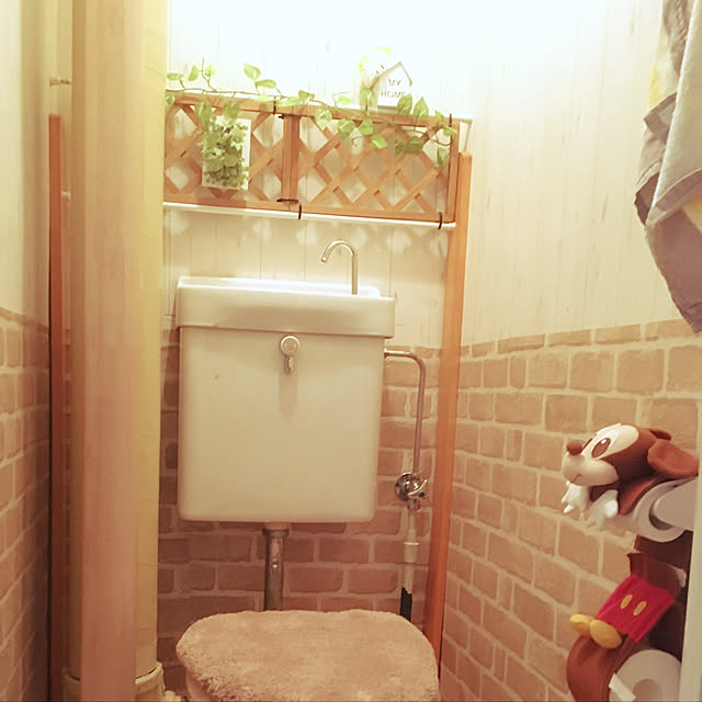 nonさんの実例写真