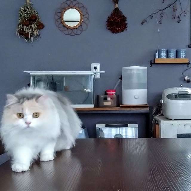 hiromi0302さんの実例写真