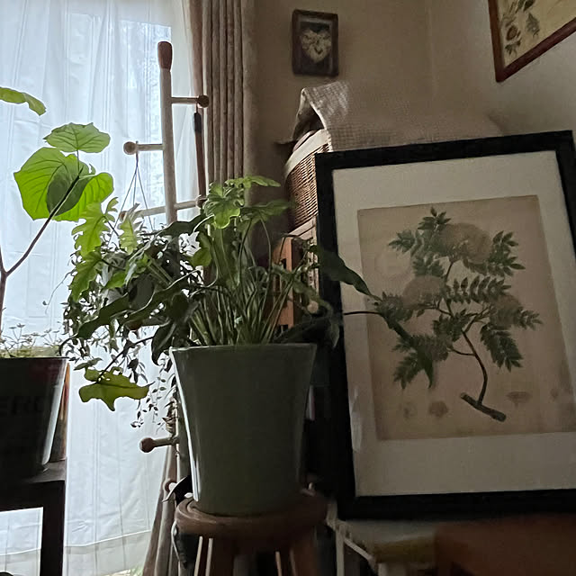 cota2さんの部屋