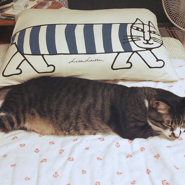 gomaさんの実例写真