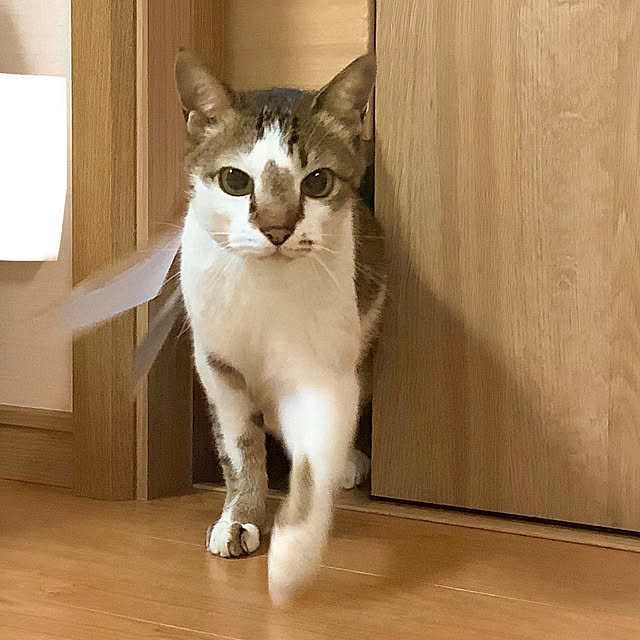 haruminさんの部屋