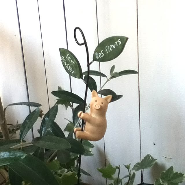 korinoさんの実例写真