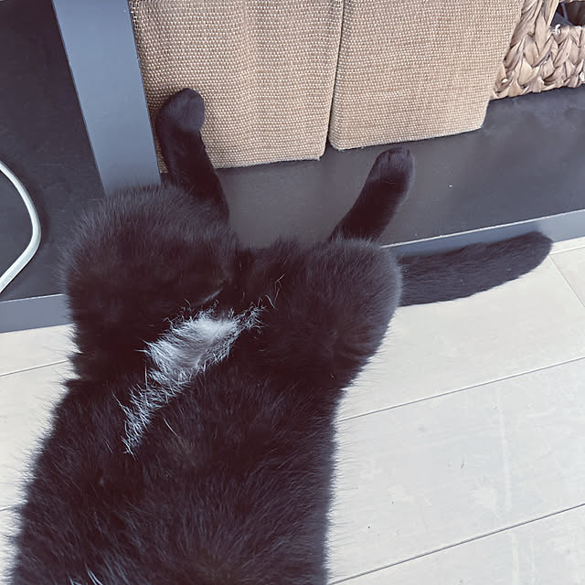 nekomiさんの部屋