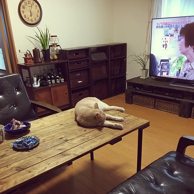 mikan161さんの実例写真