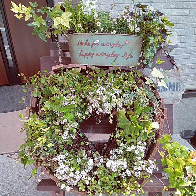 mocomocoさんの部屋