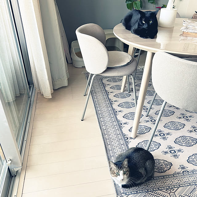 nekomiさんの部屋