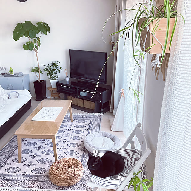 nekomiさんの部屋