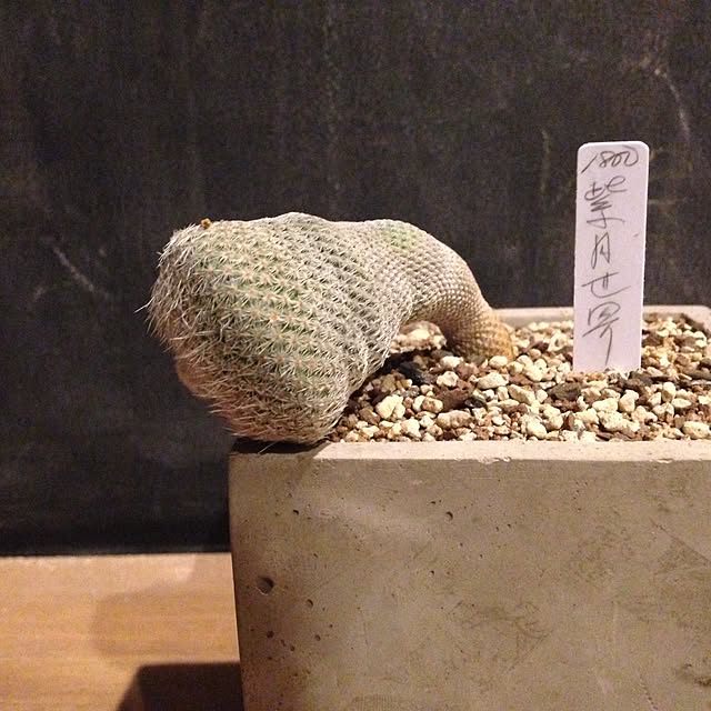 aknb08さんの実例写真