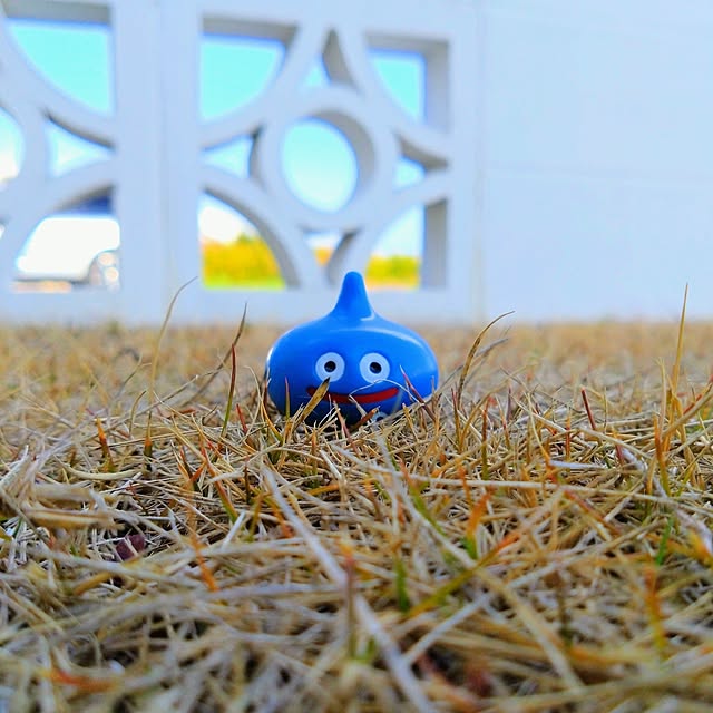rienbo0510さんの実例写真
