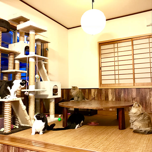 butachanさんの実例写真