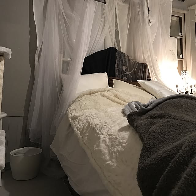 Shihoさんの実例写真
