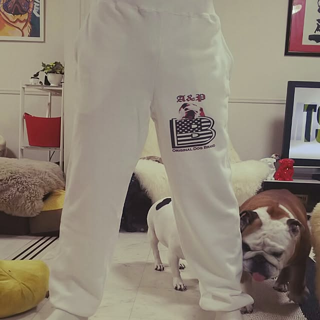 panchobiさんの実例写真