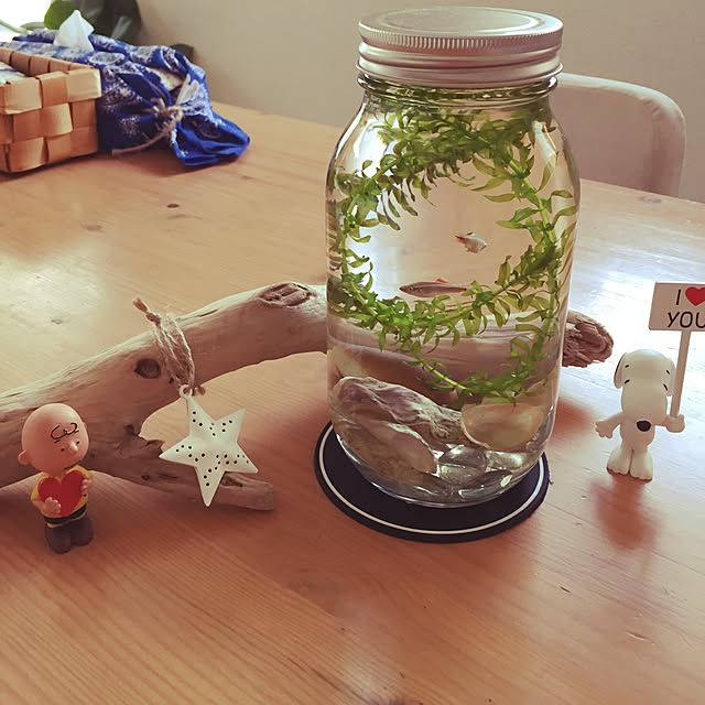 makoさんの実例写真