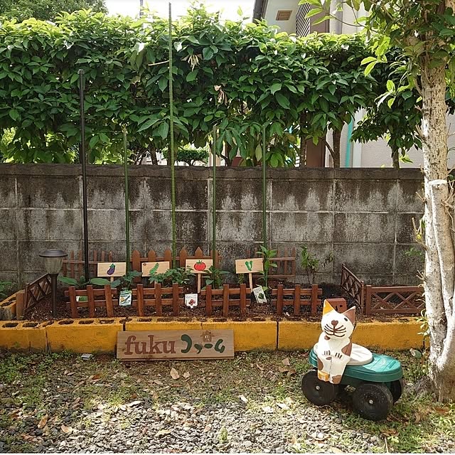 fukuさんの実例写真