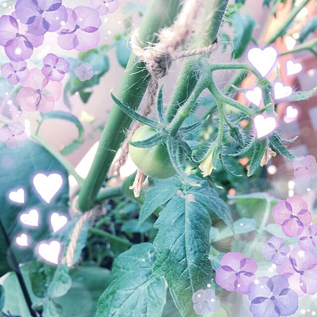 caramelさんの実例写真