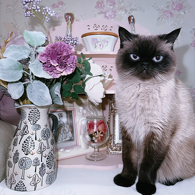 Nylさんの実例写真