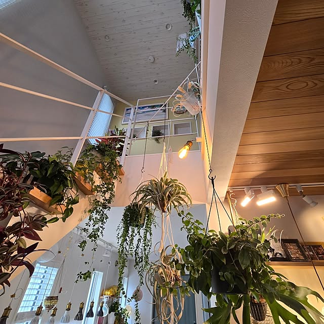 nonbiri_house_さんの部屋