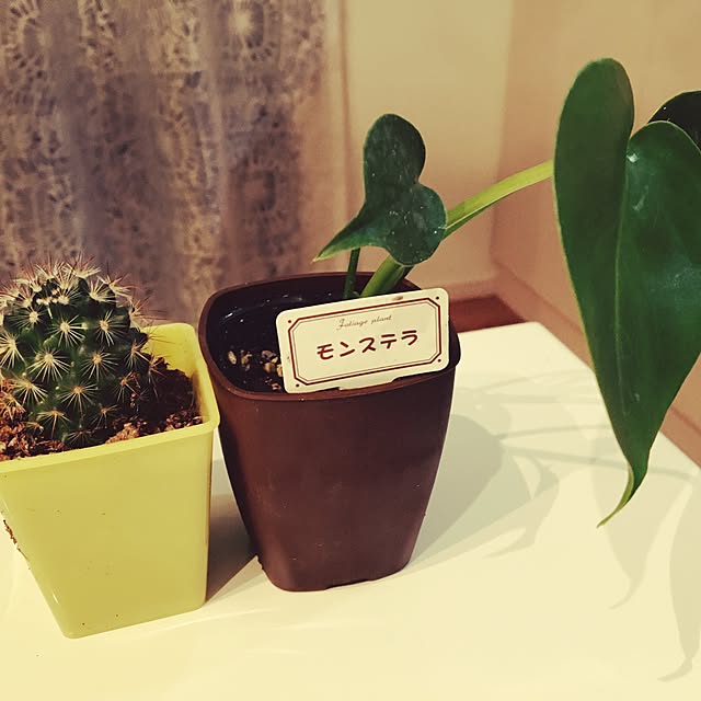 chakochakoさんの実例写真