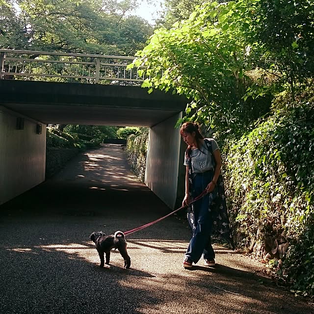 asaさんの実例写真