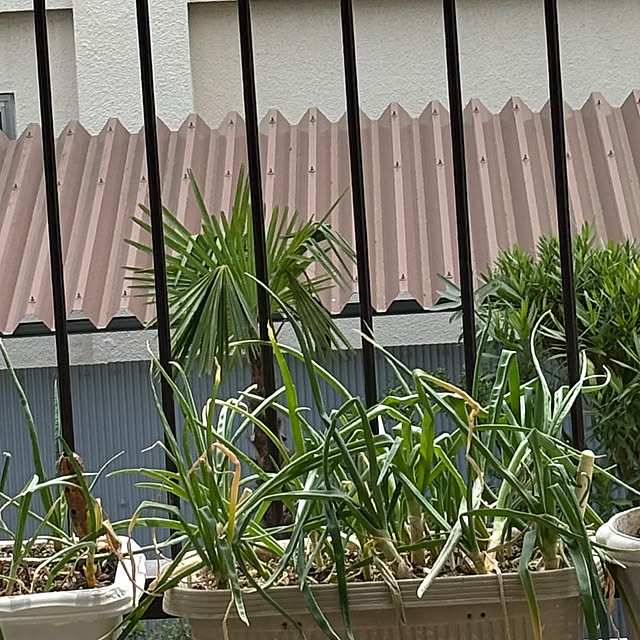 syutmmさんの部屋