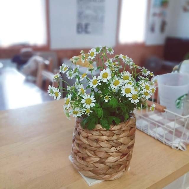 satosanさんの実例写真