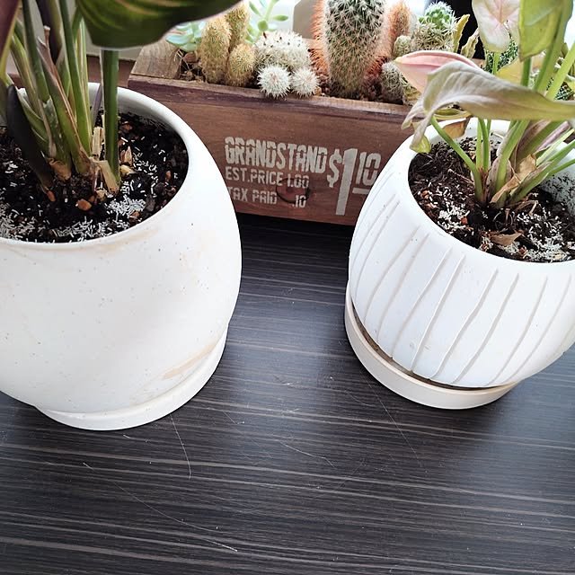 coconathuさんの部屋