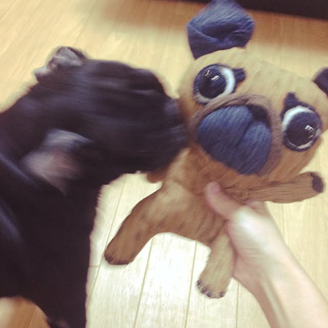 Marbleさんの実例写真
