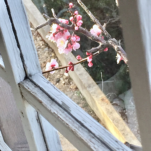 RIERINさんの実例写真