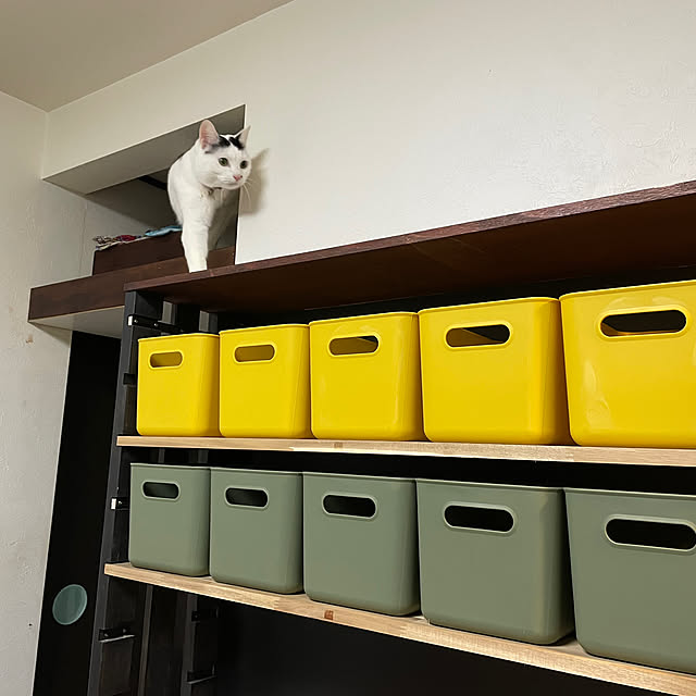 coolcats0528さんの実例写真