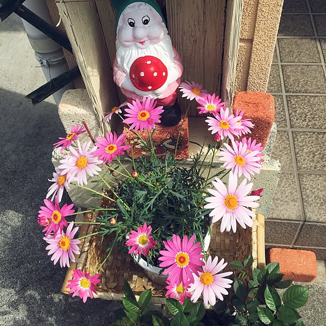 takakoさんの実例写真