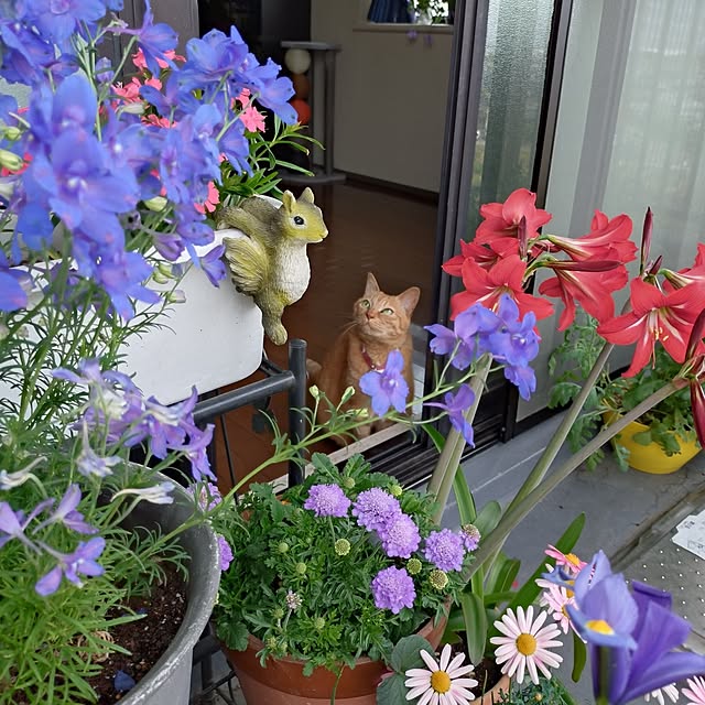 NOAHさんの実例写真