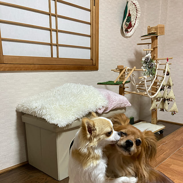 toratanさんの実例写真
