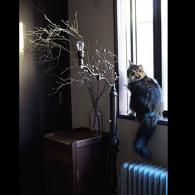 jnkaiさんの実例写真