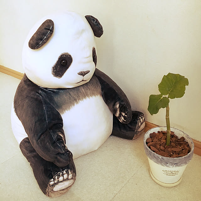 cocoさんの実例写真