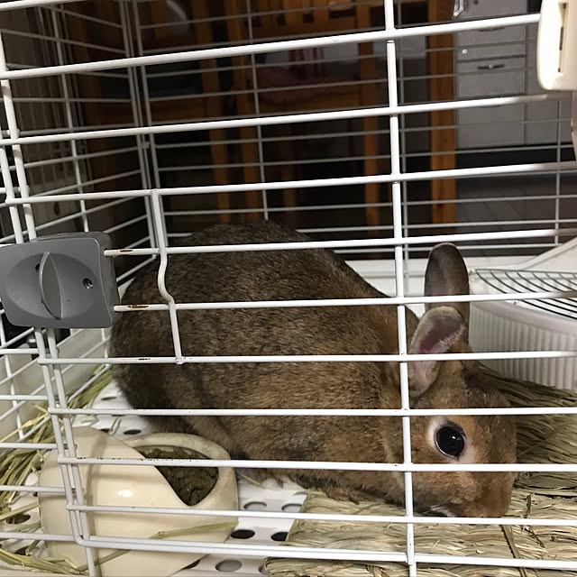 haruさんの実例写真