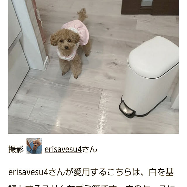 erisavesu4さんの実例写真