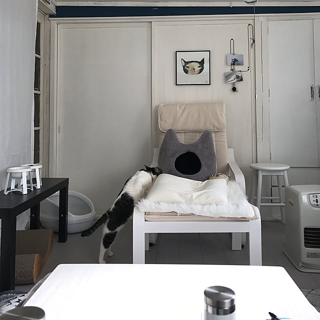 Shihoさんの実例写真