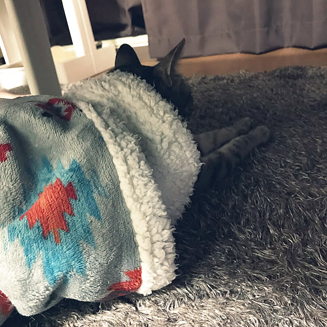 NEKOARUKIさんの実例写真