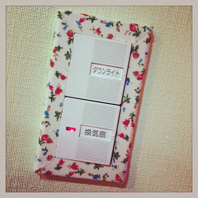 aiPsaさんの実例写真