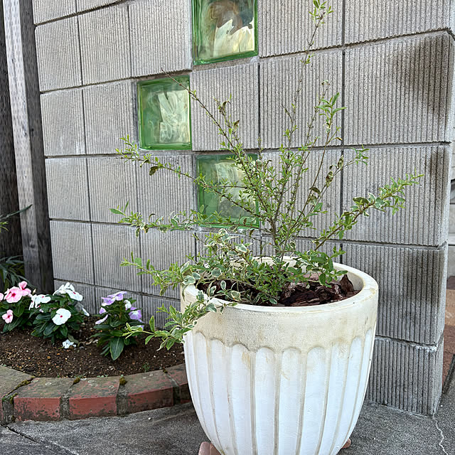 Haruさんの実例写真